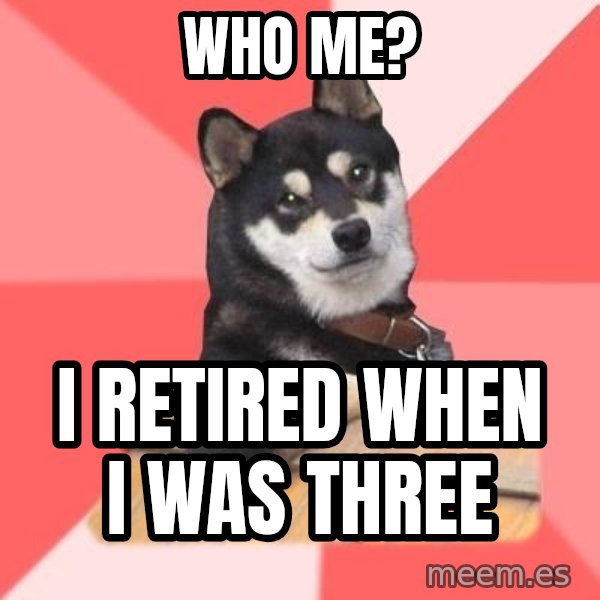 Cool Dog meme: who me? / i retired when i was three