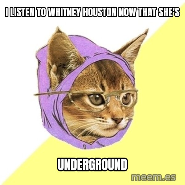 Hipster Kitty meme: i listen to whitney houston now that she's / underground