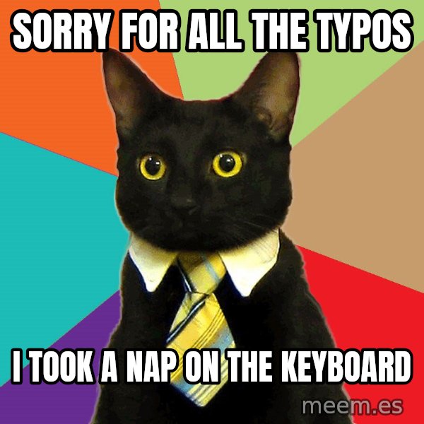 Business Cat meme: Sorry for all the typos / I took a nap on the keyboard