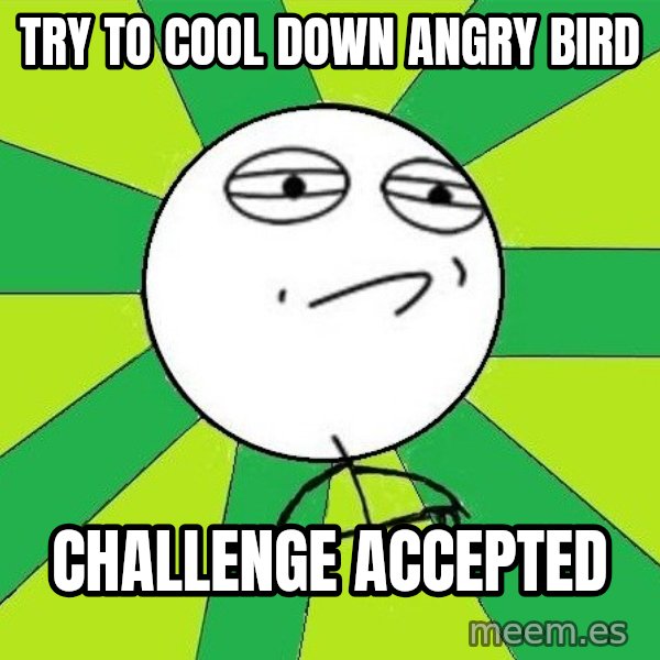 Challenge Accepted 2 meme: try to cool down angry bird / challenge accepted