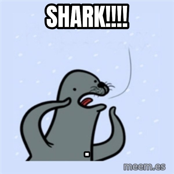 gay seal meme: Shark!!!! / .