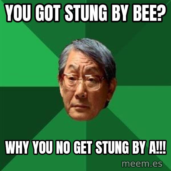 High Expectations Asian Father meme: you got stung by bee? / Why you no get stung by a!!!