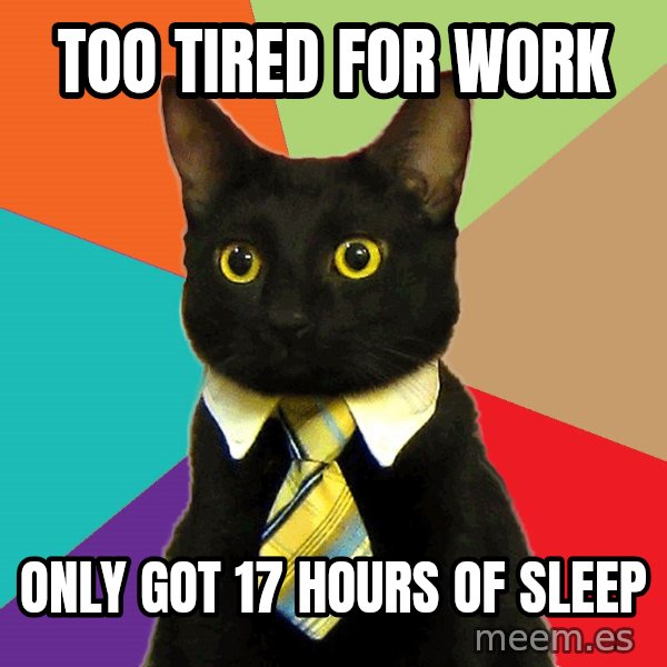 Business Cat meme: too tired for work / only got 17 hours of sleep