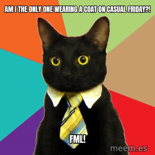 Business Cat meme: Am I the only one wearing a coat on casual Friday?! / FML!