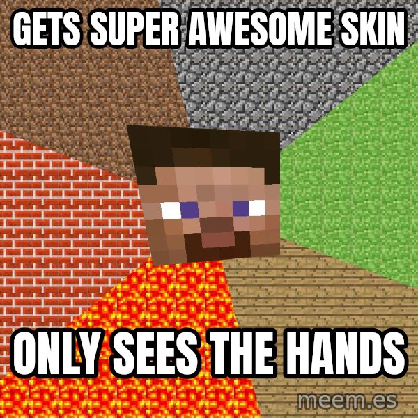 Minecraft Guy meme: Gets super awesome skin / Only sees the hands