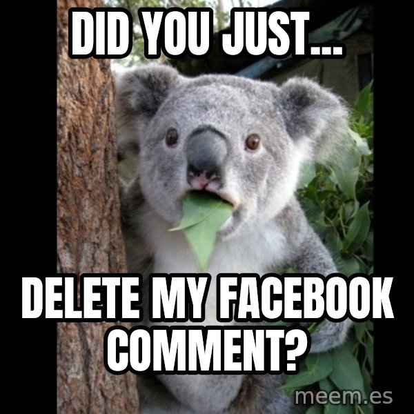 Koala can't believe it meme: Did you just... / delete my facebook comment?