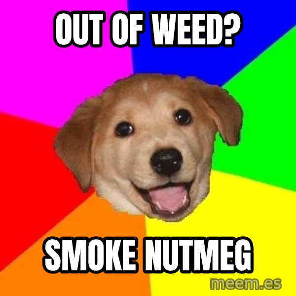 Advice Dog meme: out of weed? / smoke nutmeg