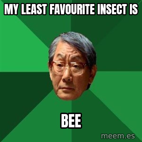 High Expectations Asian Father meme: My Least favourite Insect is / BEE