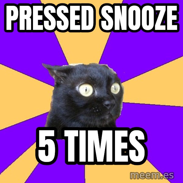 Anxiety Cat meme: pressed snooze / 5 times