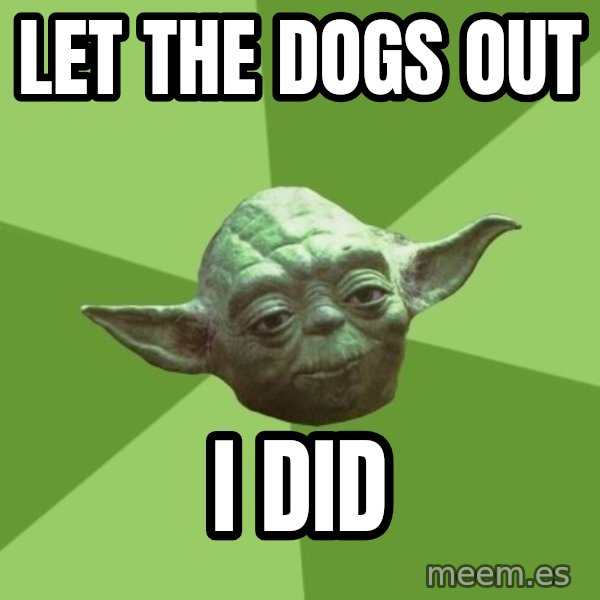 Advice Yoda Gives meme: Let the dogs out / I did