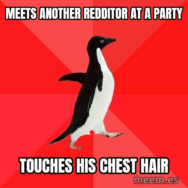 Socially Awesome Penguin meme: Meets another redditor at a party / touches his chest hair