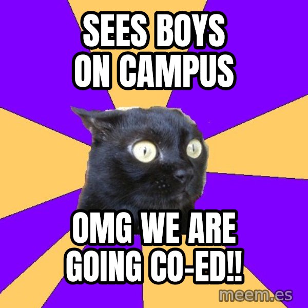 Anxiety Cat meme: Sees boys on campus / omg we are going co-ed!!