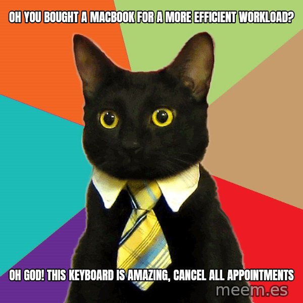 Business Cat meme: Oh You Bought a Macbook for a More Efficient Workload? / Oh God! This Keyboard is amazing, Cancel all appointments