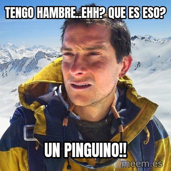 Bear Grylls Loneliness meme: tENGO HAMBRE..EHH? QUE ES ESO? / UN PINGUINO!!