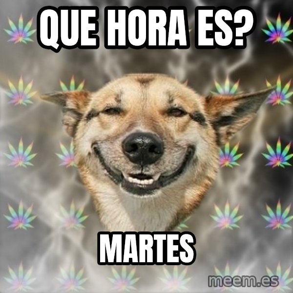 Stoner Dog meme: que hora es? / martes