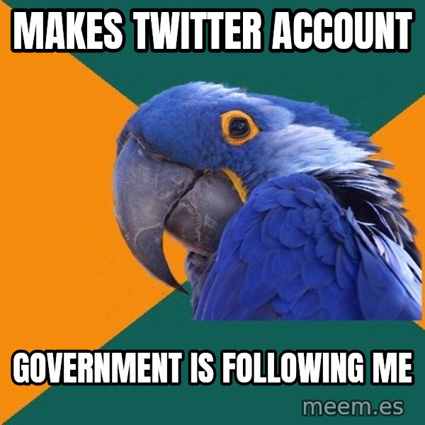 Paranoid Parrot meme: Makes Twitter Account / Government is Following me