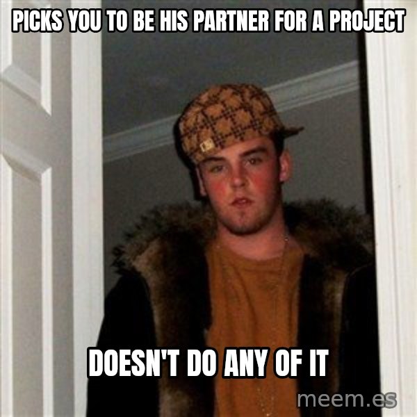Scumbag Steve meme: Picks you to be his partner for a project / doesn't do any of it