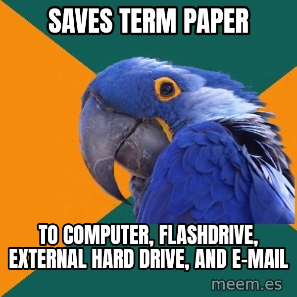 Paranoid Parrot meme: saves term paper / to computer, flashdrive, external hard drive, and e-mail