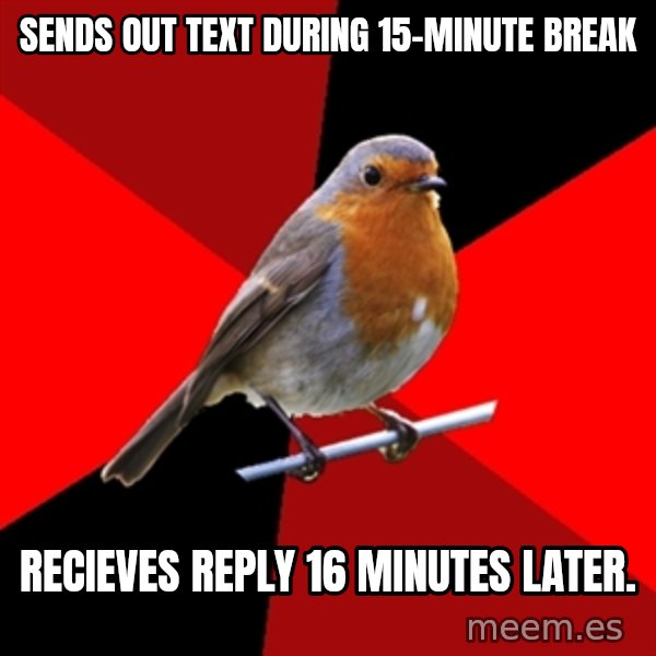 Retail Robin meme: sends out text during 15-minute break / recieves reply 16 minutes later.