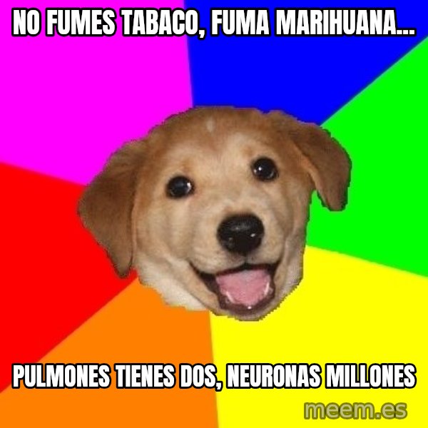 Advice Dog meme: no fumes tabaco, fuma marihuana... / pulmones tienes dos, neuronas millones
