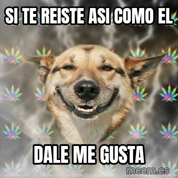 Stoner Dog meme: si te reiste asi como el / dale me gusta