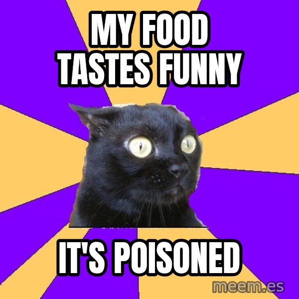 Anxiety Cat meme: My food tastes funny / It's poisoned