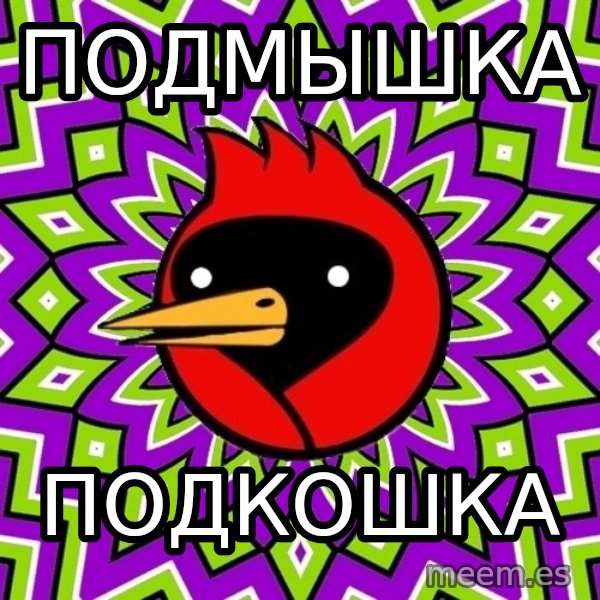Omsk Crow meme: Подмышка / подкошка