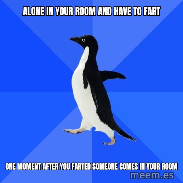 Socially Awkward Penguin meme: alone in your room and have to fart / one moment after you farted someone comes in your room