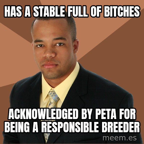 Successful Black Man meme: has a stable full of bitches / acknowledged by peta for being a responsible breeder