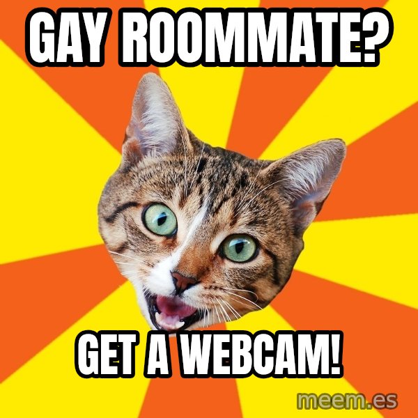 Bad Advice Cat meme: gay roommate? / get a webcam!