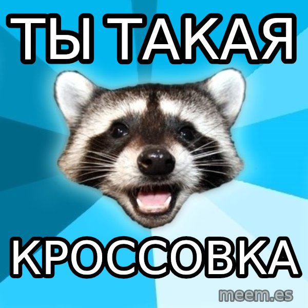 Lame Pun Coon meme: ты такая / кроссовка