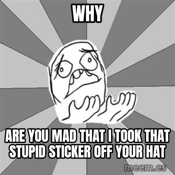 Whyyy??? meme: why / are you mAD that i took that stupid sticker off your hat