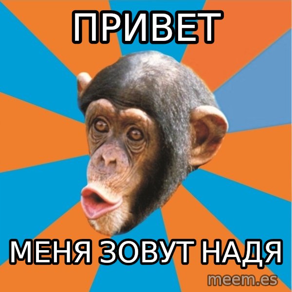 Stupid Monkey meme: привет / меня зовут надя