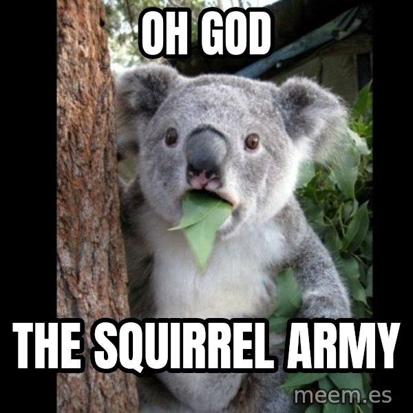 Koala can't believe it meme: oh god / the squirrel army