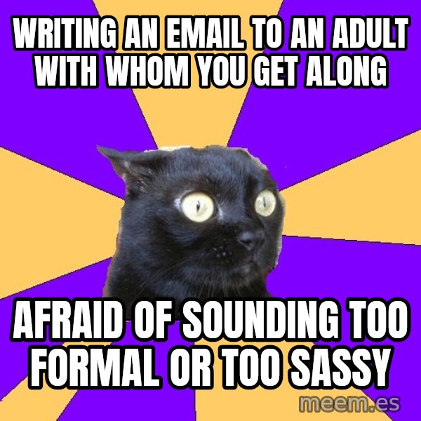 Anxiety Cat meme: writing an email to an adult with whom you get along / afraid of sounding too formal or too sassy