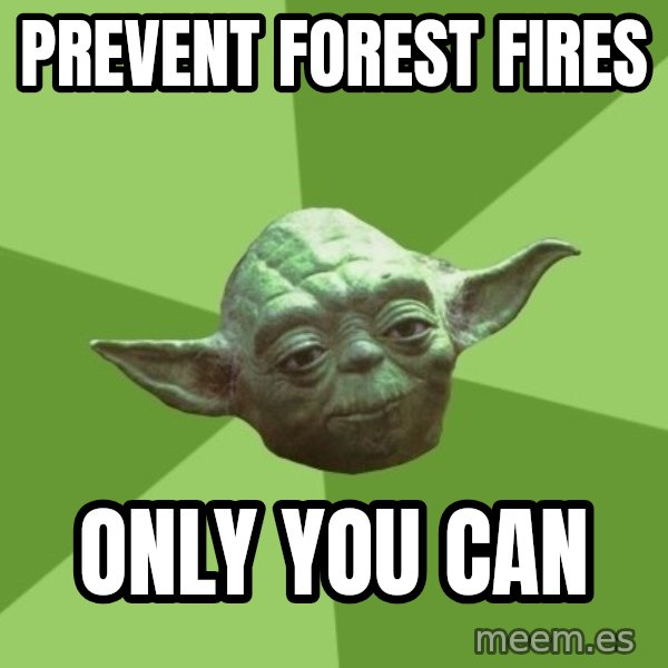 Advice Yoda Gives meme: prevent forest fires / only you can