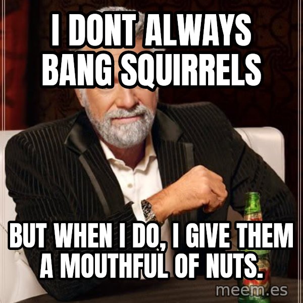 The Most Interesting Man In The World meme: I dont always bang squirrels / But when i do, I give them a mouthful of nuts.