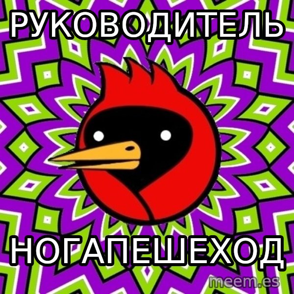 Omsk Crow meme: РУКОВОДИТЕЛЬ / НОГАПЕШЕХОД