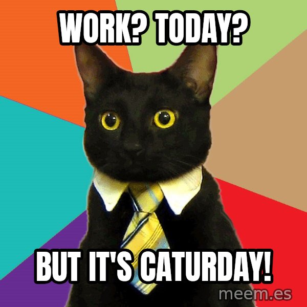 Business Cat meme: Work? today? / but it's caturday!