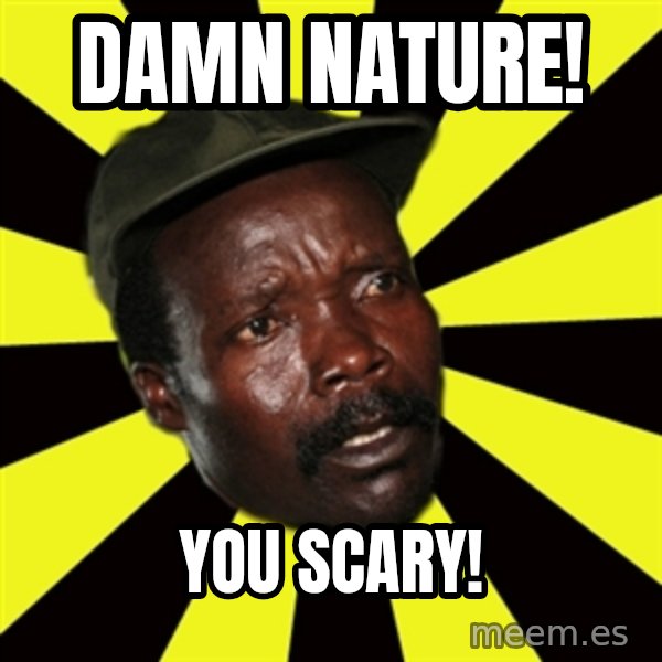 KONY THE PIMP meme: damn nature! / you scary!