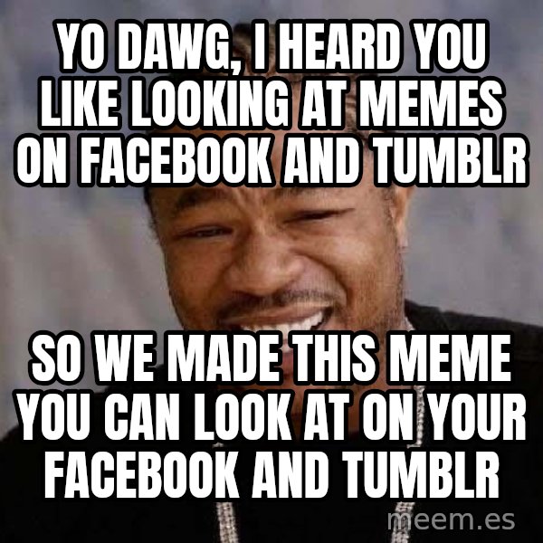 Yo Dawg meme: Yo dawg, I heard you like looking at memes on facebook and tumblr / So we made this meme you can look at on your facebook and tumblr
