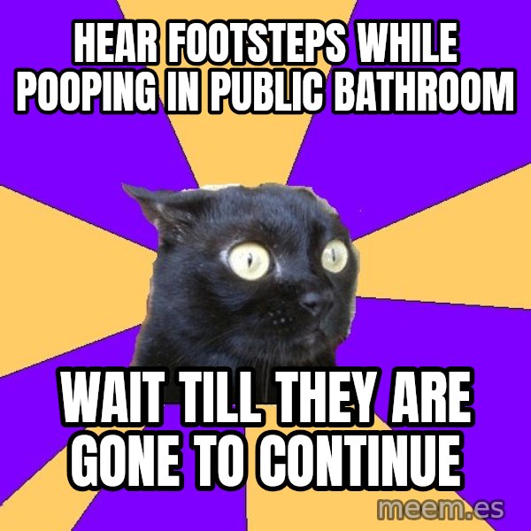 Anxiety Cat meme: hear footsteps while pooping in public bathroom / wait till they are gone to continue