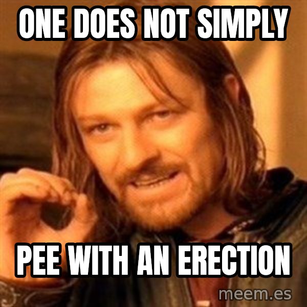 One Does Not Simply meme: one does not simply / pee with an erection