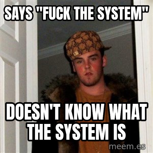 Scumbag Steve meme: Says "fuck the system" / Doesn't know what the system is
