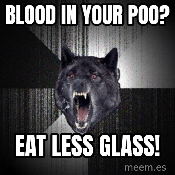 Insanity Wolf meme: blood in your poo? / eat less glass!