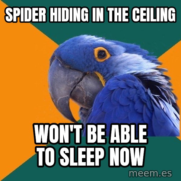 Paranoid Parrot meme: spider hiding in the ceiling / won't be able to sleep now