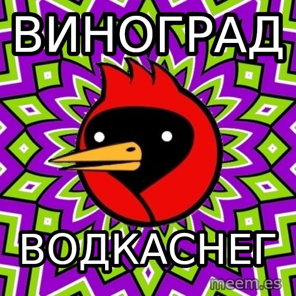 Omsk Crow meme: Виноград / водкаснег