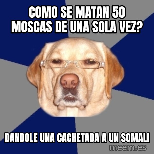 Racist Dog meme: como se matan 50 moscas de una sola vez? / dandole una cachetada a un somali