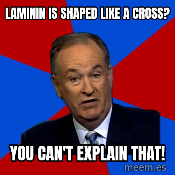 Bill O'Reilly Proves God meme: laminin is shaped like a cross? / you can't explain that!