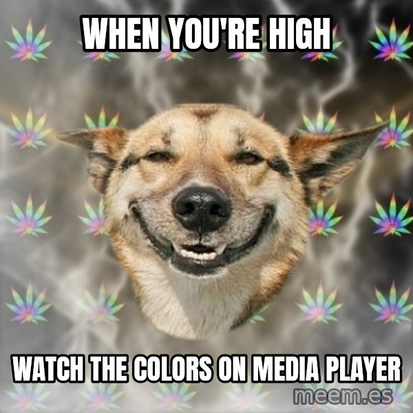 Stoner Dog meme: when you're high / watch the colors on media player
